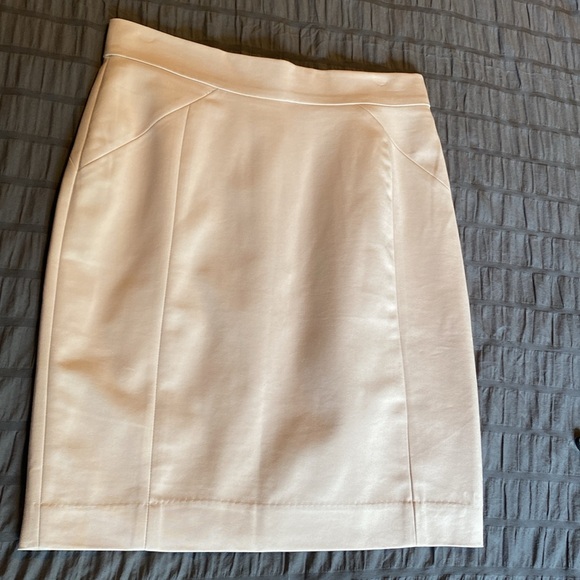 H&M skirt. Cream colour. Excellent condition. 21 in. Long. Smoke free home - Picture 3 of 5